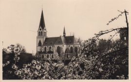 Hier geht es zur Karte mit dem Motiv 'Katholische Kirche über Blüten hinweg' Hier geht es zur Karte mit dem Motiv 'Katholische Kirche über Blüten hinweg'