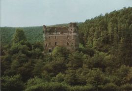 Hier geht es zur Karte mit dem Motiv 'Eine Burgruine mitten im Wald' Hier geht es zur Karte mit dem Motiv 'Eine Burgruine mitten im Wald'
