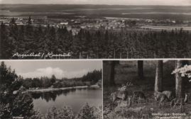 Hier geht es zur Karte mit dem Motiv 'Ein Panorama, der Waldsee und Hirsche' Hier geht es zur Karte mit dem Motiv 'Ein Panorama, der Waldsee und Hirsche'