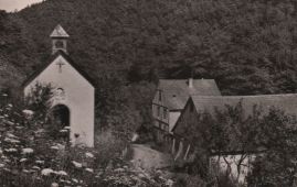 Hier geht es zur Karte mit dem Motiv 'Daubesbergermühle hinter blühenden Blumen' Hier geht es zur Karte mit dem Motiv 'Daubesbergermühle hinter blühenden Blumen'