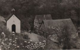 Hier geht es zur Karte mit dem Motiv 'Hühner vor der Daubesbergermühle' Hier geht es zur Karte mit dem Motiv 'Hühner vor der Daubesbergermühle'