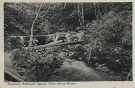 Hier geht es zur Karte mit dem Motiv 'Ein Brücke aus Baumstämmen gebaut' Hier geht es zur Karte mit dem Motiv 'Ein Brücke aus Baumstämmen gebaut'