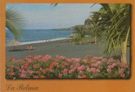 Hier geht es zur Karte mit dem Motiv 'Palmen und Gäste am Strand' Hier geht es zur Karte mit dem Motiv 'Palmen und Gäste am Strand'