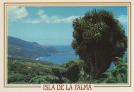 Hier geht es zur Karte mit dem Motiv 'Blick von La Tosca zum Atlantik' Hier geht es zur Karte mit dem Motiv 'Blick von La Tosca zum Atlantik'