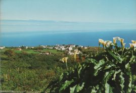 Hier geht es zur Karte mit dem Motiv 'Blick auf den Ort Barlovento und das Meer' Hier geht es zur Karte mit dem Motiv 'Blick auf den Ort Barlovento und das Meer'