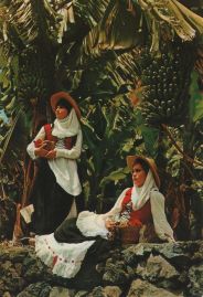 Hier geht es zur Karte mit dem Motiv 'Zwei Frauen in Tracht vor Bananenpflanzen' Hier geht es zur Karte mit dem Motiv 'Zwei Frauen in Tracht vor Bananenpflanzen'