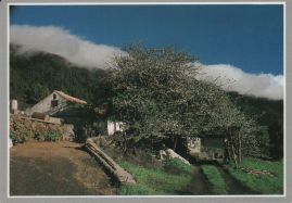 Hier geht es zur Karte mit dem Motiv 'Haus im Valle de Aridane' Hier geht es zur Karte mit dem Motiv 'Haus im Valle de Aridane'