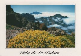 Hier geht es zur Karte mit dem Motiv 'Blick in wolkenverhangene Caldera'