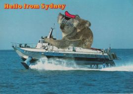 Hier geht es zur Karte mit dem Motiv 'Ein Koala auf einem schnellen Boot' Hier geht es zur Karte mit dem Motiv 'Ein Koala auf einem schnellen Boot'