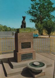 Hier geht es zur Karte mit dem Motiv 'Wachsamer Hund in Gundagai' Hier geht es zur Karte mit dem Motiv 'Wachsamer Hund in Gundagai'