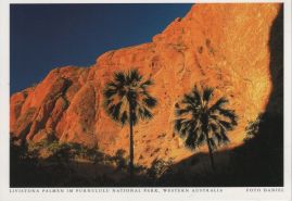 Hier geht es zur Karte mit dem Motiv 'Palmen im Purnululu-Nationalpark' Hier geht es zur Karte mit dem Motiv 'Palmen im Purnululu-Nationalpark'