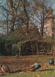 Hier geht es zur Karte mit dem Motiv 'Vier Pfauen vor dem Schloss' Hier geht es zur Karte mit dem Motiv 'Vier Pfauen vor dem Schloss'