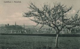 Hier geht es zur Karte mit dem Motiv 'Blühender Baum vor Kastellaun' Hier geht es zur Karte mit dem Motiv 'Blühender Baum vor Kastellaun'