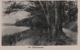 Hier geht es zur Karte mit dem Motiv 'Schilf und Weg am Schlachtensee' Hier geht es zur Karte mit dem Motiv 'Schilf und Weg am Schlachtensee'