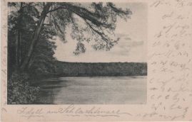 Hier geht es zur Karte mit dem Motiv 'Bewaldetes Ufer am Schlachtensee' Hier geht es zur Karte mit dem Motiv 'Bewaldetes Ufer am Schlachtensee'