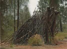 Hier geht es zur Karte mit dem Motiv 'Wohnstätte eines Aborigines in Zentralaustralien' Hier geht es zur Karte mit dem Motiv 'Wohnstätte eines Aborigines in Zentralaustralien'