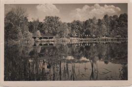 Hier geht es zur Karte mit dem Motiv 'Laubbäume rund um den Teufelssee' Hier geht es zur Karte mit dem Motiv 'Laubbäume rund um den Teufelssee'