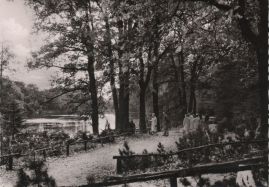 Hier geht es zur Karte mit dem Motiv 'Spaziergänger im Steinbergpark' Hier geht es zur Karte mit dem Motiv 'Spaziergänger im Steinbergpark'
