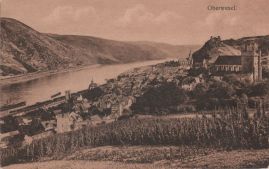 Hier geht es zur Karte mit dem Motiv 'Ein Weinberg oberhalb von Oberwesel'