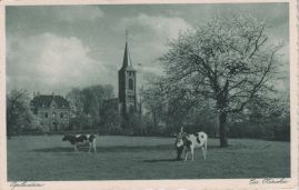 Hier geht es zur Karte mit dem Motiv 'Kuhweide vor der Kirche am Bielert' Hier geht es zur Karte mit dem Motiv 'Kuhweide vor der Kirche am Bielert'