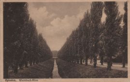 Hier geht es zur Karte mit dem Motiv 'Viele Bäume an der Wiembach-Allee' Hier geht es zur Karte mit dem Motiv 'Viele Bäume an der Wiembach-Allee'