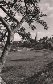 Hier geht es zur Karte mit dem Motiv 'Blick unterm Baum hindurch' Hier geht es zur Karte mit dem Motiv 'Blick unterm Baum hindurch'
