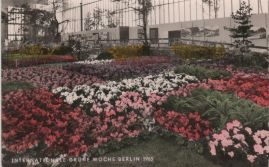 Hier geht es zur Karte mit dem Motiv 'Verschiedenfarbige Blumenkaros' Hier geht es zur Karte mit dem Motiv 'Verschiedenfarbige Blumenkaros'