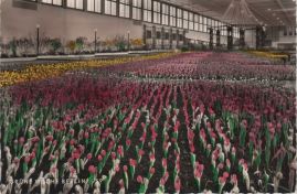 Hier geht es zur Karte mit dem Motiv 'Bunte Blumen in der Messehalle' Hier geht es zur Karte mit dem Motiv 'Bunte Blumen in der Messehalle'