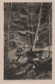 Hier geht es zur Karte mit dem Motiv 'Bäume und Felsen am Wasserfall' Hier geht es zur Karte mit dem Motiv 'Bäume und Felsen am Wasserfall'