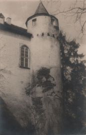 Hier geht es zur Karte mit dem Motiv 'Bewachsener Turm'