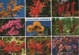 Hier geht es zur Karte mit dem Motiv 'Neun Wildblumen aus Australien' Hier geht es zur Karte mit dem Motiv 'Neun Wildblumen aus Australien'