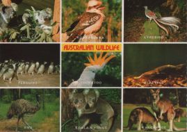Hier geht es zur Karte mit dem Motiv 'Reichhaltige Tierwelt in Australien' Hier geht es zur Karte mit dem Motiv 'Reichhaltige Tierwelt in Australien'
