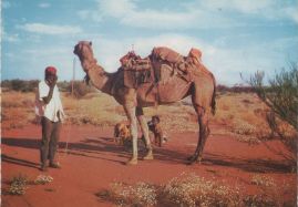 Hier geht es zur Karte mit dem Motiv 'Aborigine mit Kamel am Uluru' Hier geht es zur Karte mit dem Motiv 'Aborigine mit Kamel am Uluru'