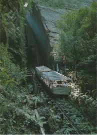 Hier geht es zur Karte mit dem Motiv 'Duralium Car in den Blue Mountains' Hier geht es zur Karte mit dem Motiv 'Duralium Car in den Blue Mountains'