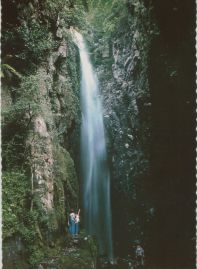 Hier geht es zur Karte mit dem Motiv 'Minnamurra Falls bei Jamberoo'