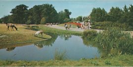 Hier geht es zur Karte mit dem Motiv 'Weitläufige Wiese im Tierpark' Hier geht es zur Karte mit dem Motiv 'Weitläufige Wiese im Tierpark'