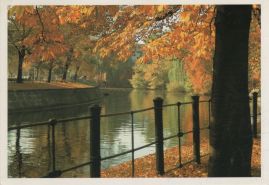 Hier geht es zur Karte mit dem Motiv 'Reichpietschufer im Herbst' Hier geht es zur Karte mit dem Motiv 'Reichpietschufer im Herbst'