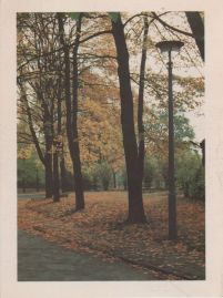 Hier geht es zur Karte mit dem Motiv 'Herbstlicher Park beim Haus 10 des KEH' Hier geht es zur Karte mit dem Motiv 'Herbstlicher Park beim Haus 10 des KEH'