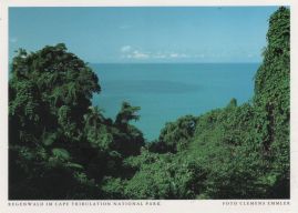 Hier geht es zur Karte mit dem Motiv 'Der Regenwald von Cape Tribulation' Hier geht es zur Karte mit dem Motiv 'Der Regenwald von Cape Tribulation'