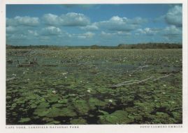 Hier geht es zur Karte mit dem Motiv 'Lakefield National Park auf Cape York' Hier geht es zur Karte mit dem Motiv 'Lakefield National Park auf Cape York'