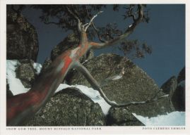 Hier geht es zur Karte mit dem Motiv 'Schnee-Eukalyptus in den Alpen Australiens' Hier geht es zur Karte mit dem Motiv 'Schnee-Eukalyptus in den Alpen Australiens'