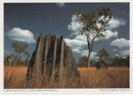 Hier geht es zur Karte mit dem Motiv 'Termitenhügel auf der Halbinsel Cape York' Hier geht es zur Karte mit dem Motiv 'Termitenhügel auf der Halbinsel Cape York'