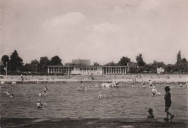 Hier geht es zur Karte mit dem Motiv 'Ein Flusspferd im Freibad' Hier geht es zur Karte mit dem Motiv 'Ein Flusspferd im Freibad'