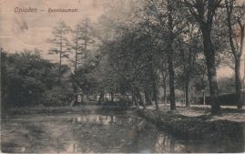 Hier geht es zur Karte mit dem Motiv 'Ein Teich neben der Allee' Hier geht es zur Karte mit dem Motiv 'Ein Teich neben der Allee'