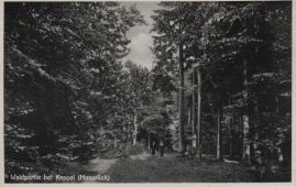 Hier geht es zur Karte mit dem Motiv 'Spaziergänger im Kappeler Wald' Hier geht es zur Karte mit dem Motiv 'Spaziergänger im Kappeler Wald'