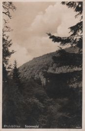 Hier geht es zur Karte mit dem Motiv 'Blick auf einen Soonwald-Hang'
