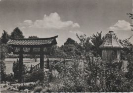 Hier geht es zur Karte mit dem Motiv 'Bild aus dem Japanischen Garten von 1964' Hier geht es zur Karte mit dem Motiv 'Bild aus dem Japanischen Garten von 1964'