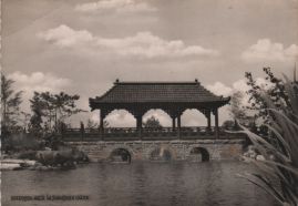 Hier geht es zur Karte mit dem Motiv 'Die Mikadobrücke' Hier geht es zur Karte mit dem Motiv 'Die Mikadobrücke'