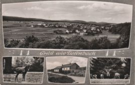 Hier geht es zur Karte mit dem Motiv 'Ein röhrender Hirsch' Hier geht es zur Karte mit dem Motiv 'Ein röhrender Hirsch'