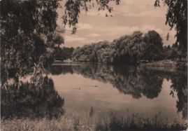 Hier geht es zur Karte mit dem Motiv 'Enten auf dem Obersee' Hier geht es zur Karte mit dem Motiv 'Enten auf dem Obersee'